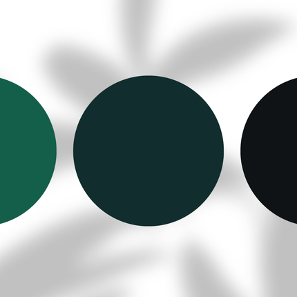 Three dark green, teal, and black color swatches on a white background with soft shadows