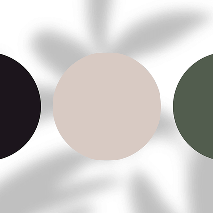 Three fashion color swatches: black, beige, olive green on white background