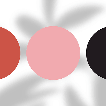 Three colored circles—terracotta, blush pink, and black—on a white background with soft shadows.
