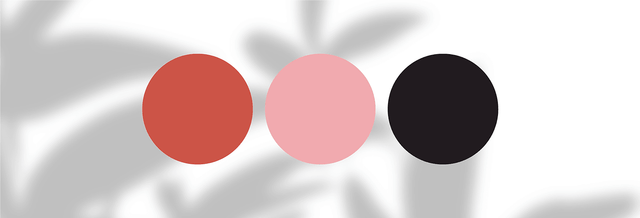Three colored circles—terracotta, blush pink, and black—on a white background with soft shadows.