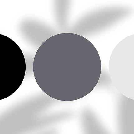 Three color swatches in black, grey, and white on a blurred leaf background