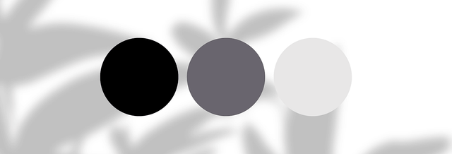 Three color swatches in black, grey, and white on a blurred leaf background