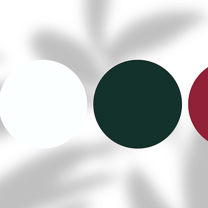 Four colored circles in dark purple, white, dark green, and burgundy on a light backdrop