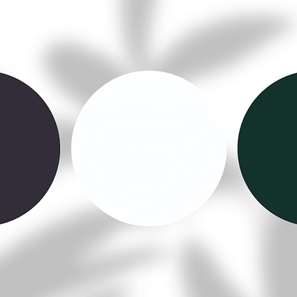 Three solid color circles on a white background, featuring black, white, and dark green tones