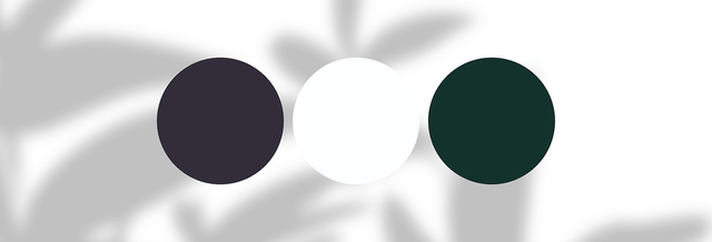 Three solid color circles on a white background, featuring black, white, and dark green tones