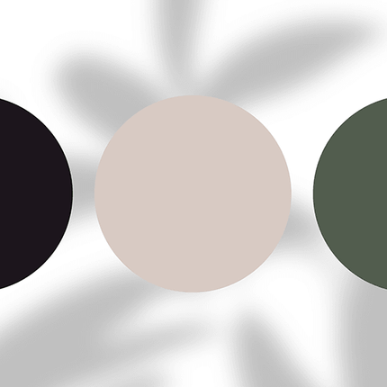Three color swatches—black, beige, and olive green—on a white background with soft shadows.