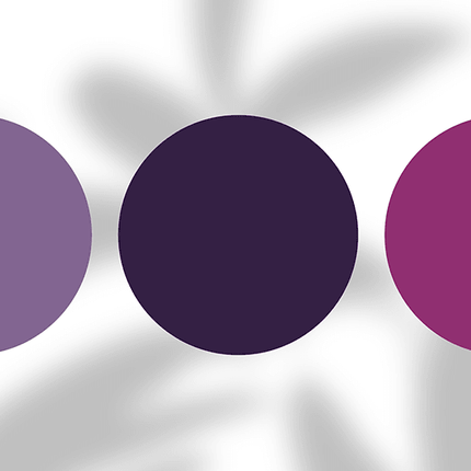 Three purple tone circles on white background with gray abstract shadows, color palette concept