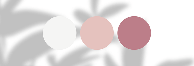 Three round color swatches in white, blush pink, and mauve on a light background