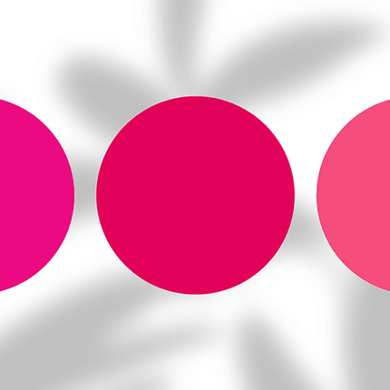 Three bright pink circles on white background with gray shadowed leaves, modern design