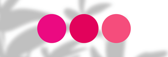 Three bright pink circles on white background with gray shadowed leaves, modern design