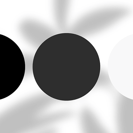 Three circles in black, dark gray, and white on a soft abstract background