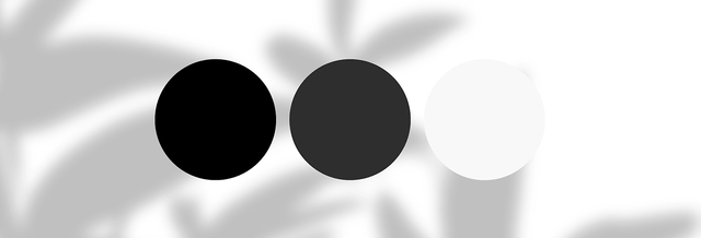 Three circles in black, dark gray, and white on a soft abstract background