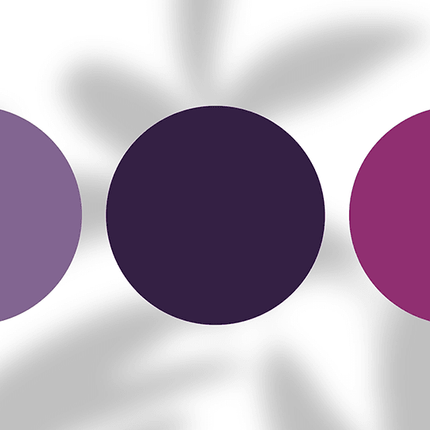 Three purple color swatches on white background with blurred leaf shadow, fashion palette.
