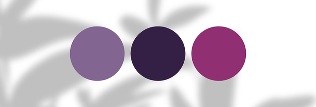Three purple color swatches on white background with blurred leaf shadow, fashion palette.