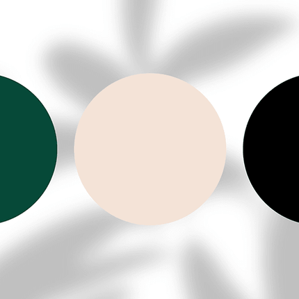 Color palette with dark green, beige, and black circles on a soft gray leafy background