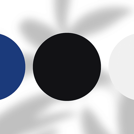Three solid color circles in blue, black, and white on a light abstract background