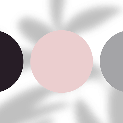 Three large color swatches—black, blush pink, and gray—on a white background with soft shadows.