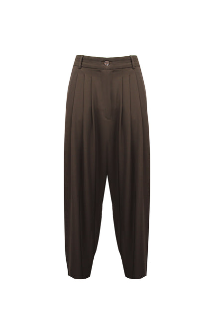 ALT Text: Fall / Winter 2027 PANTALONE DOPPIA PINCES CARROT FIT AEOD0065 with design cropped e gamba curva for women